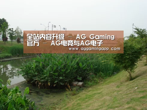 案例展示四(图1)
