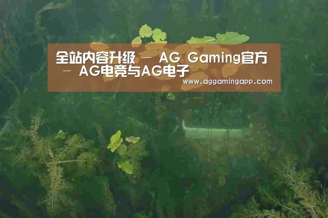 案例展示三(图1)