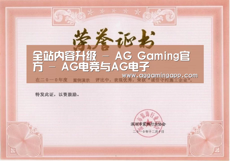 荣誉证书二(图1)