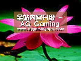 产品名称五
