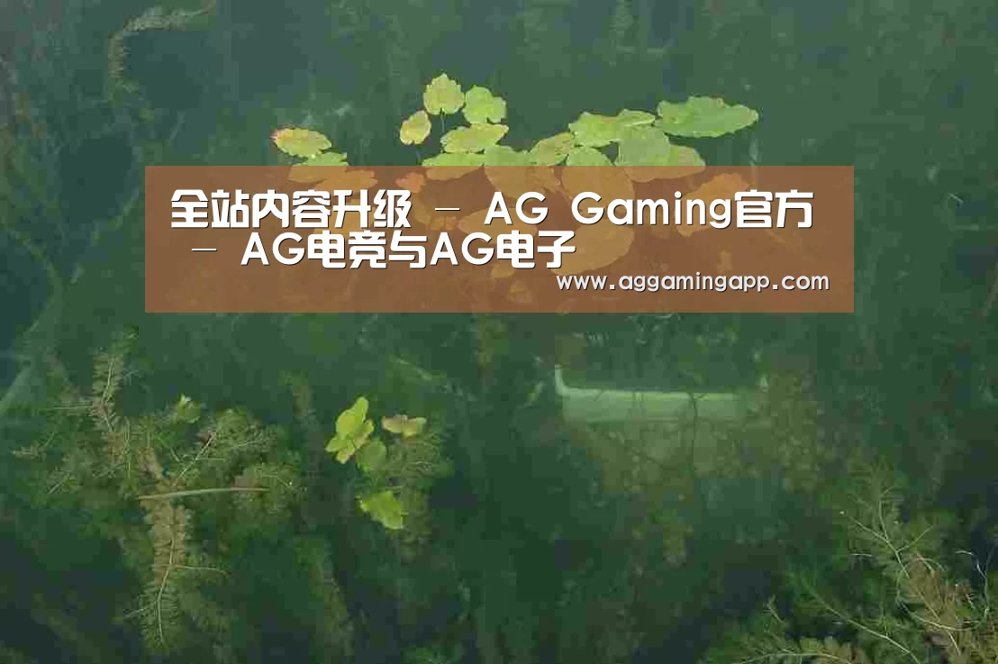 案例展示三