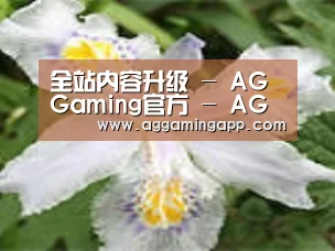 产品名称二