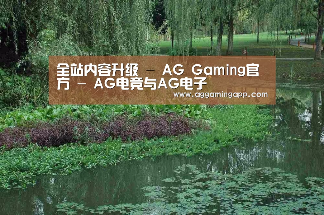 案例展示一