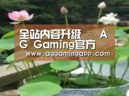 产品名称一