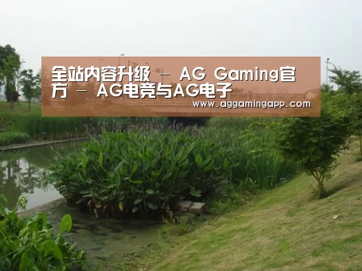 案例展示四