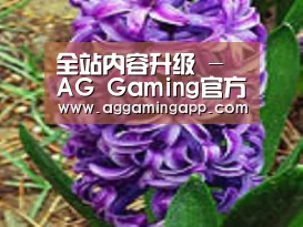 产品名称八