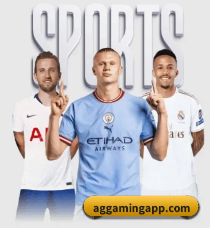 实时比分推送与赛事直播（AGGaming）