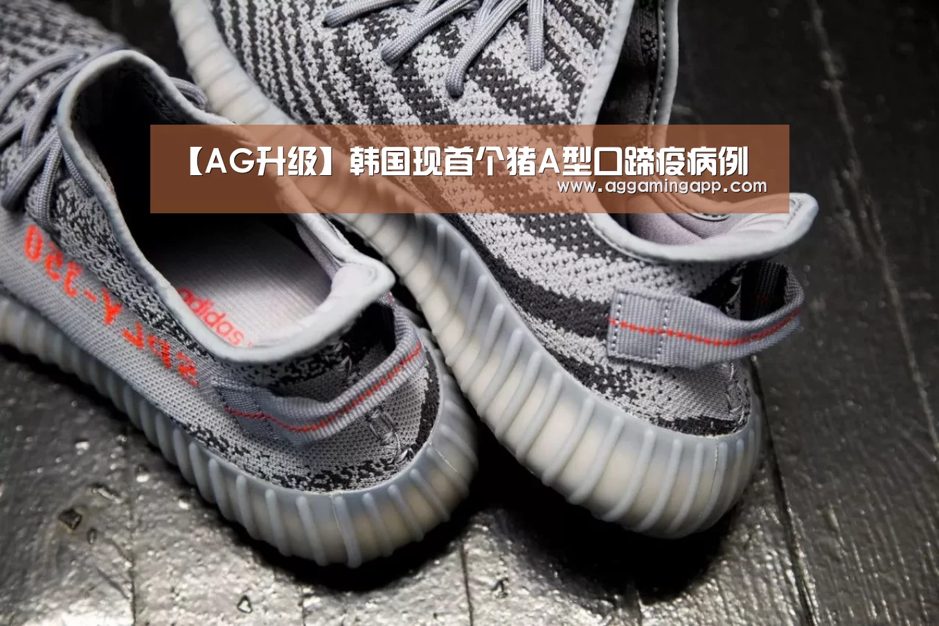 【AG升级】韩国现首个猪A型口蹄疫病例(图2) AG升级