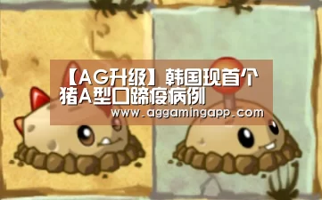 【AG升级】韩国现首个猪A型口蹄疫病例(图1) 【AG升级】韩国现首个猪A型口蹄疫病例(图1)