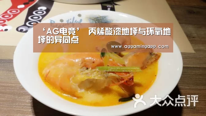 ‘AG电竞’
丙烯酸漆地坪与环氧地坪的异同点(图2) AG电竞