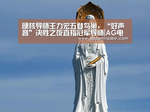 硬核导师王力宏五登鸟巢,“好声音”决胜之夜直指冠军导师|AG电子(图1) AG电子
