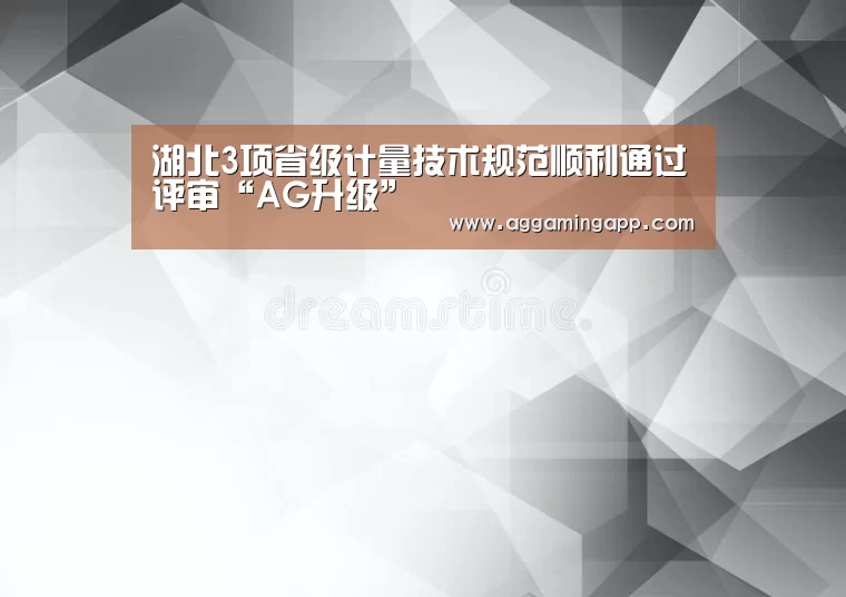 湖北3项省级计量技术规范顺利通过评审“AG升级”(图1) AG升级