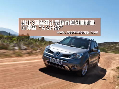 湖北3项省级计量技术规范顺利通过评审“AG升级”(图2) AG升级