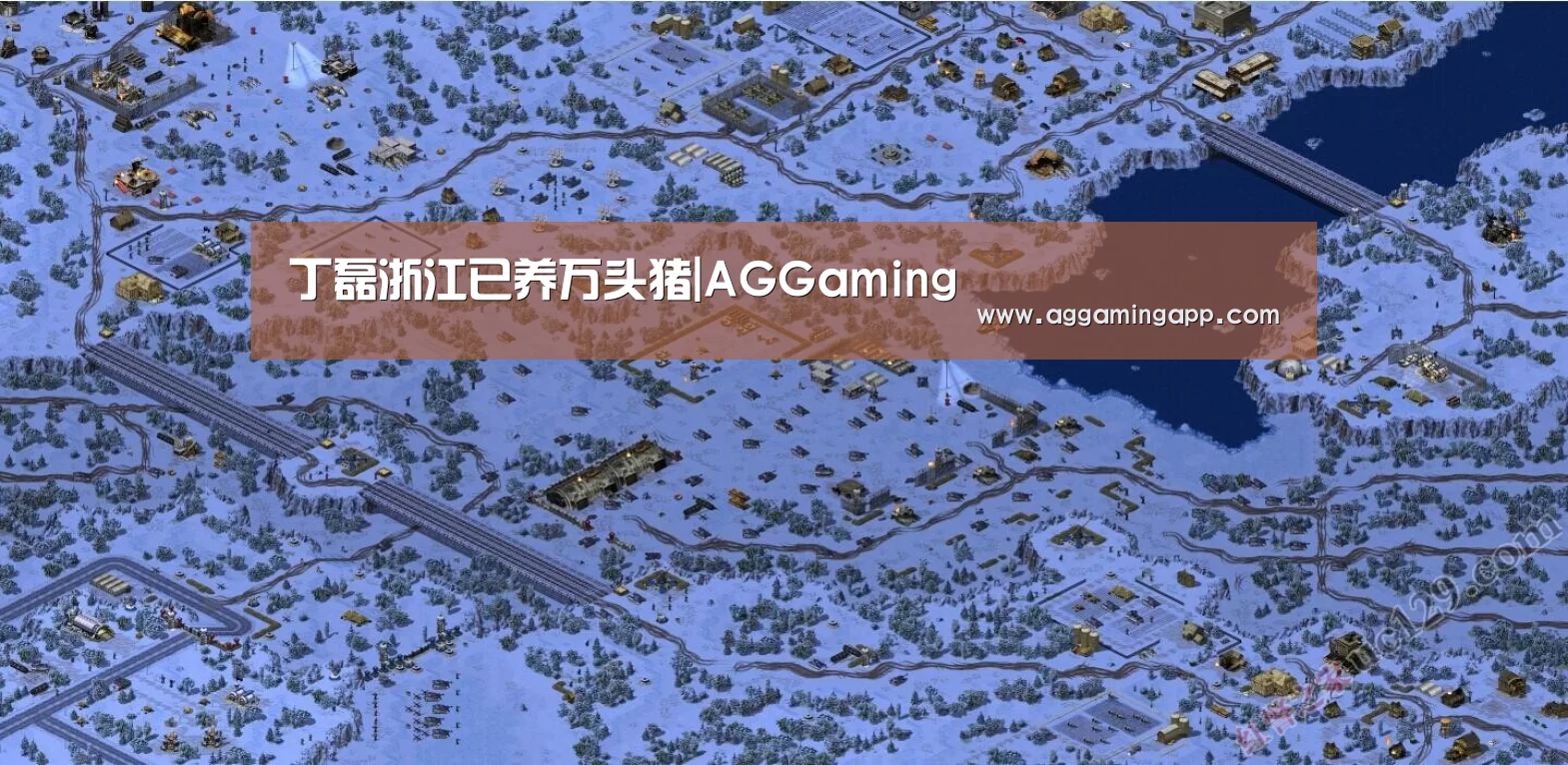 丁磊浙江已养万头猪|AGGaming(图2) AG电竞
