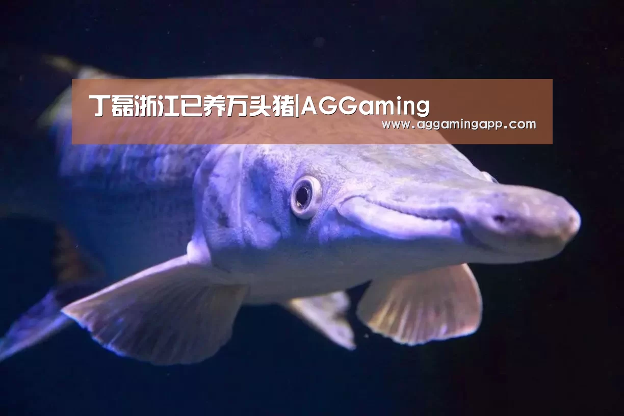 丁磊浙江已养万头猪|AGGaming(图1) AG升级